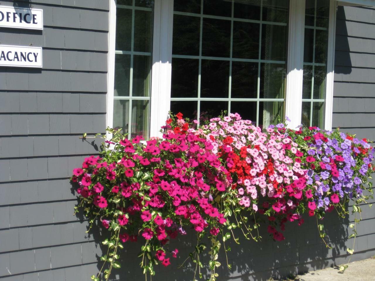 Mid-Town Motel Boothbay Harbor Exterior photo